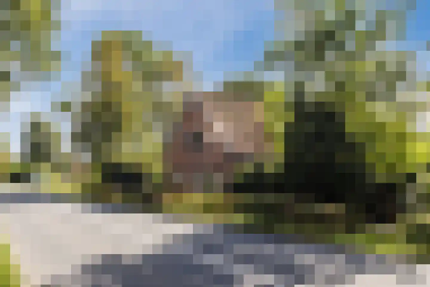Orberlaan 1 Monster thumbnail 4