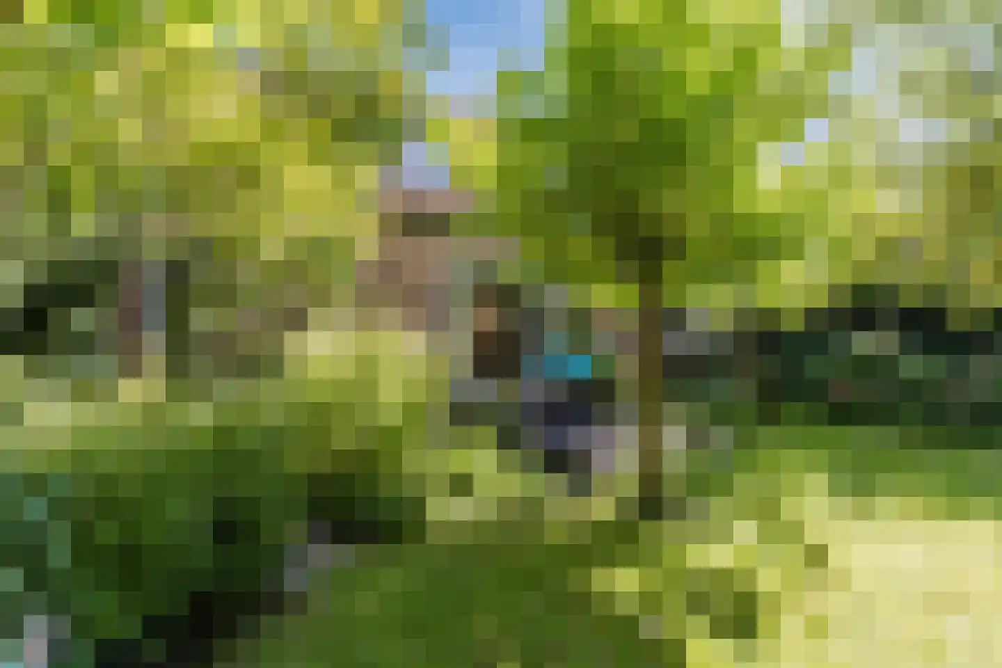 Orberlaan 1 Monster thumbnail 40