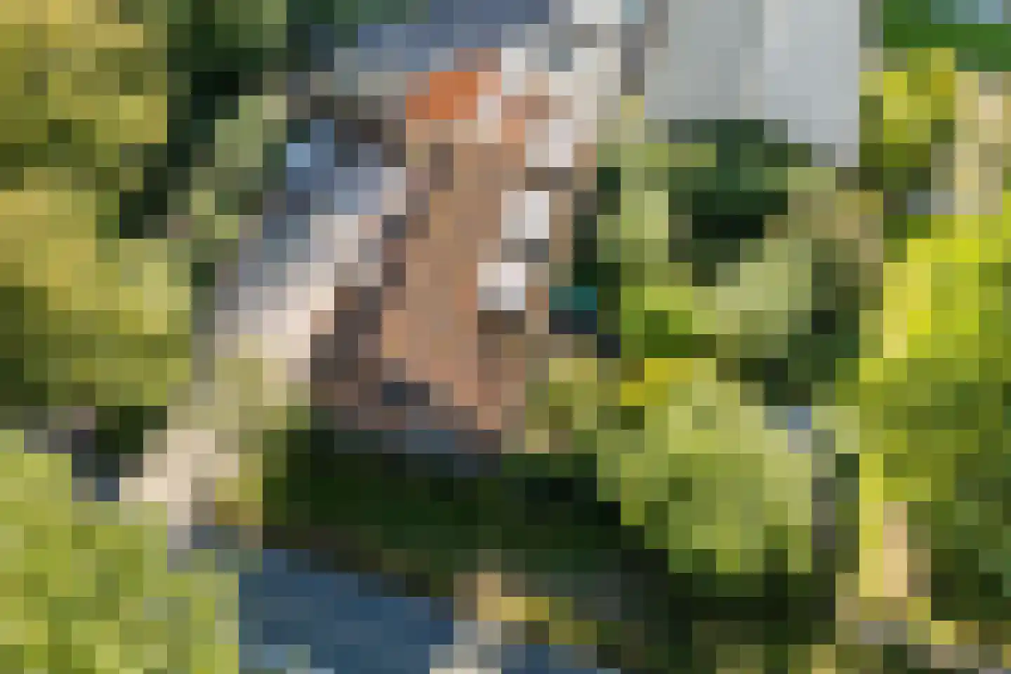 Orberlaan 1 Monster thumbnail 45