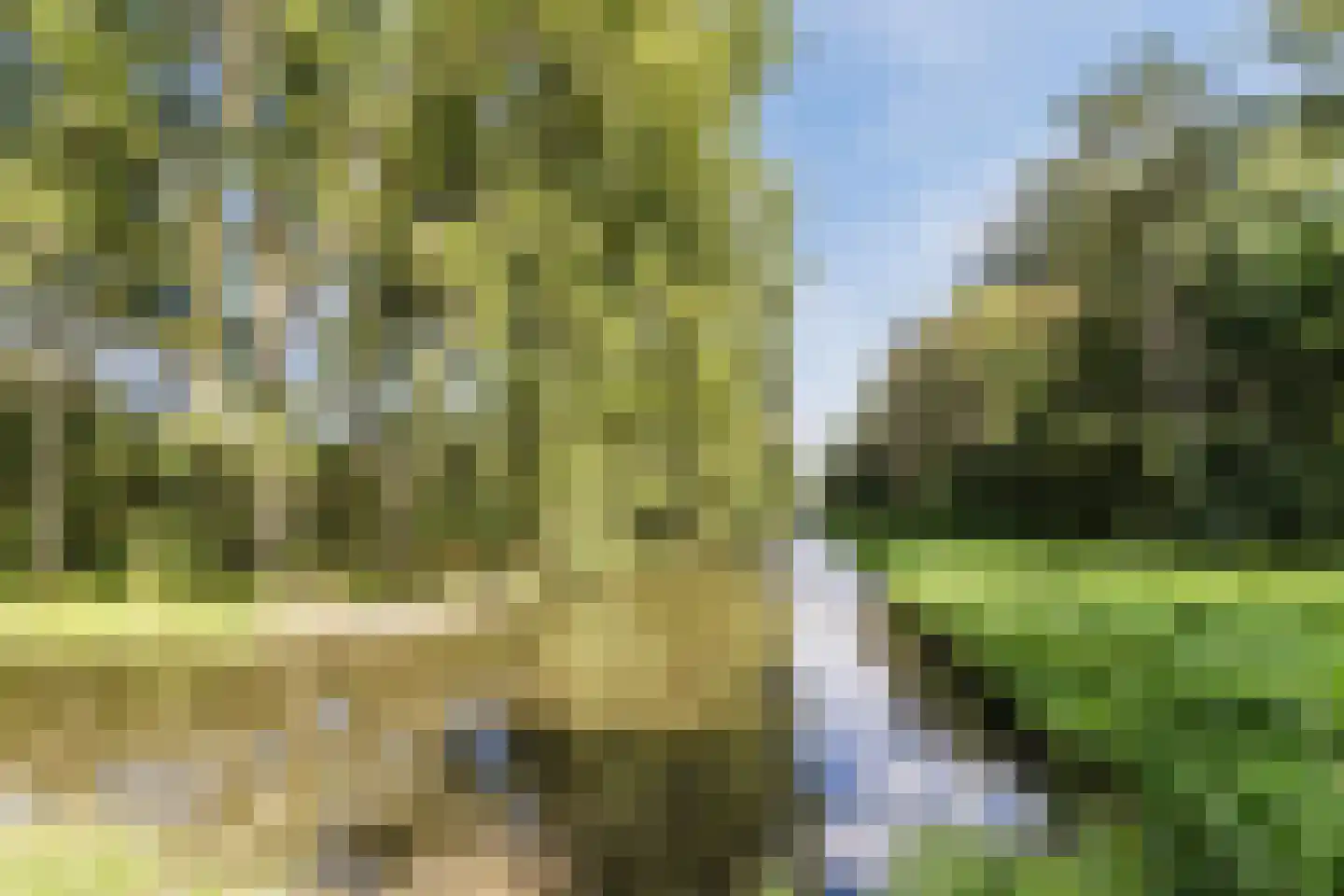 Orberlaan 1 Monster thumbnail 47