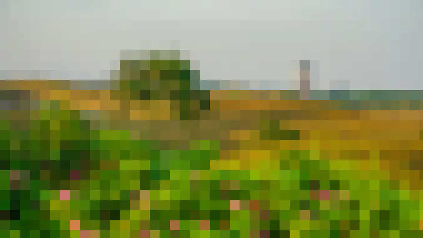 Orberlaan 1 Monster thumbnail 48