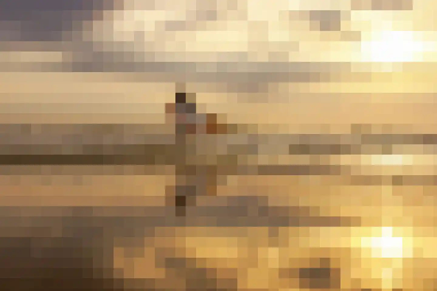 Orberlaan 1 Monster thumbnail 51