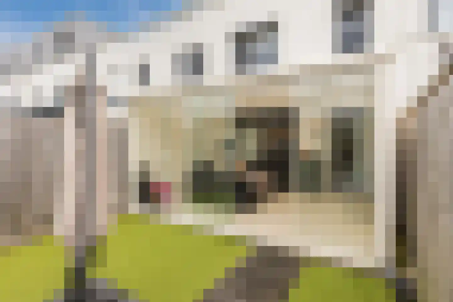 Orbisonstraat 15 Tilburg thumbnail 24