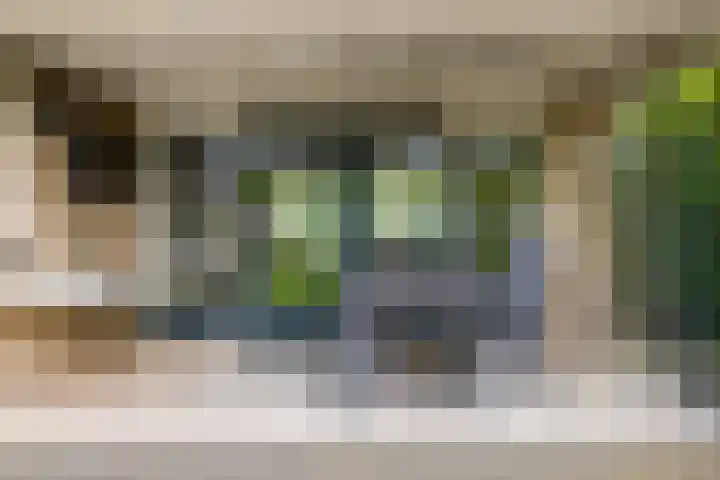 Orchidee 27 Haaksbergen thumbnail 41