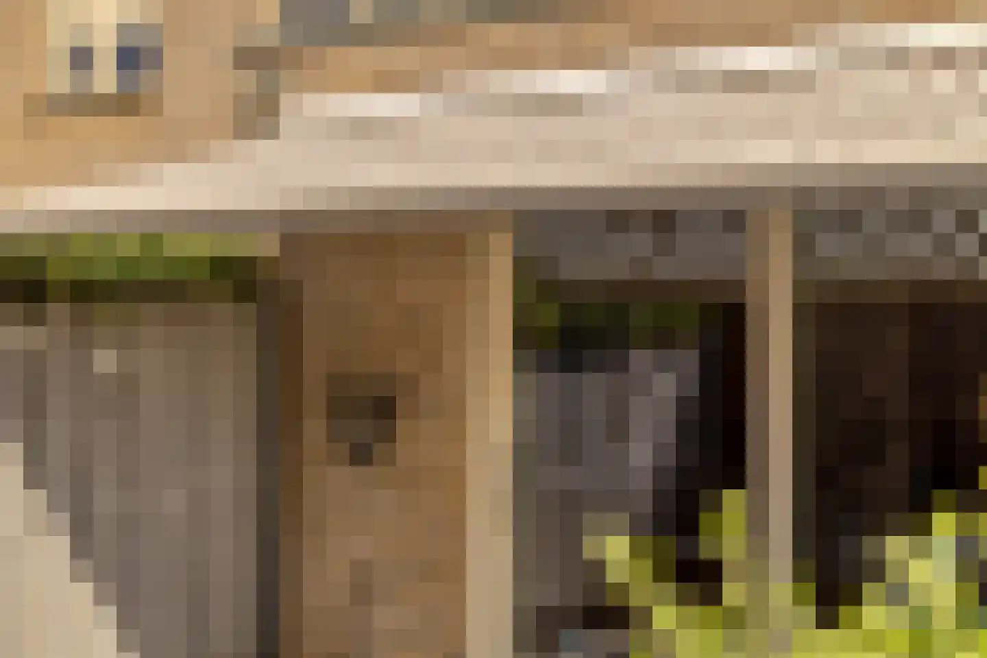 Orchidee 41 Krimpen aan den IJssel thumbnail 30