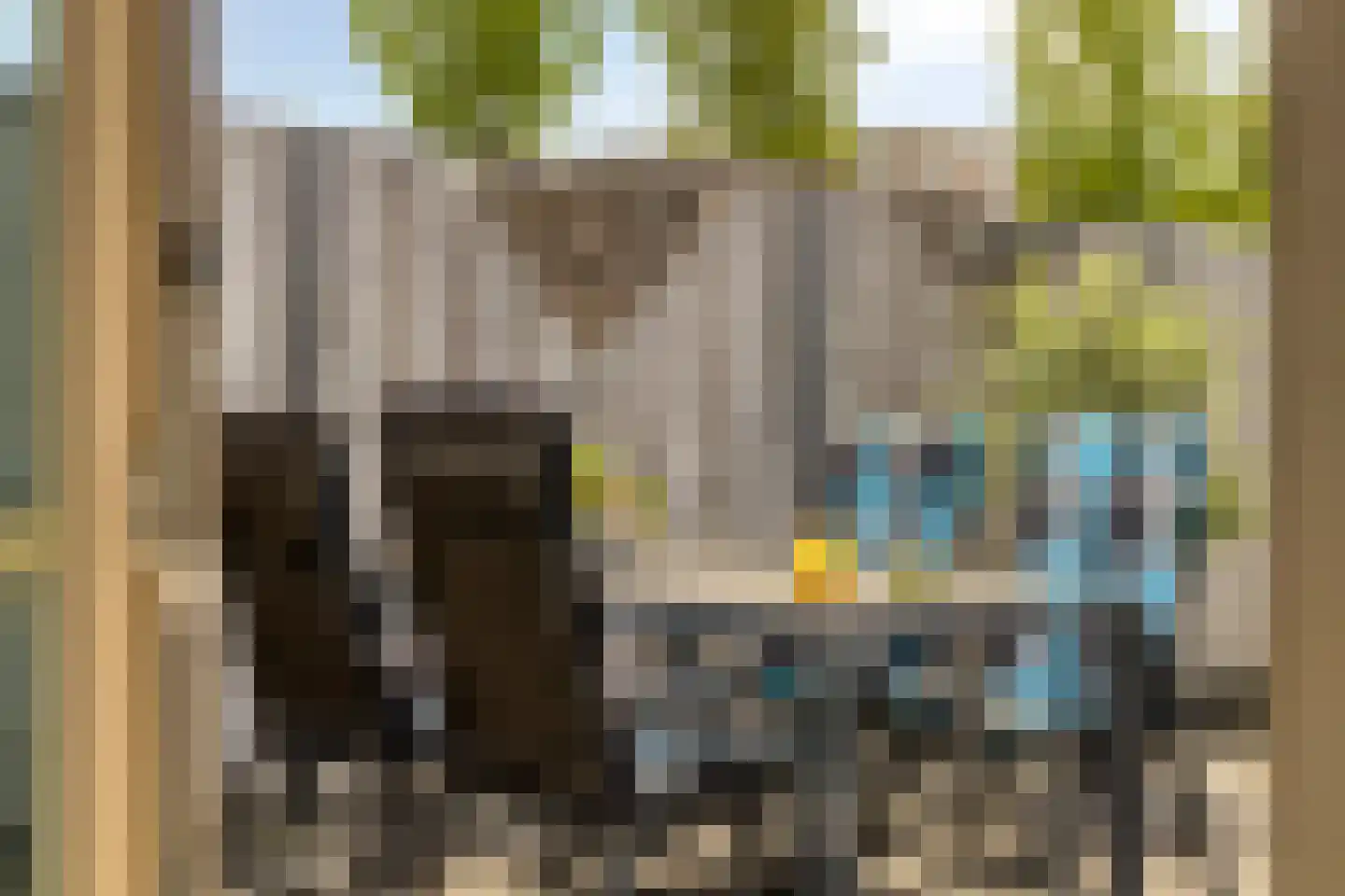Orchidee 41 Krimpen aan den IJssel thumbnail 31