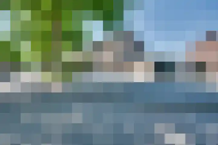 Orchideeënstraat 1 Rosmalen thumbnail 26