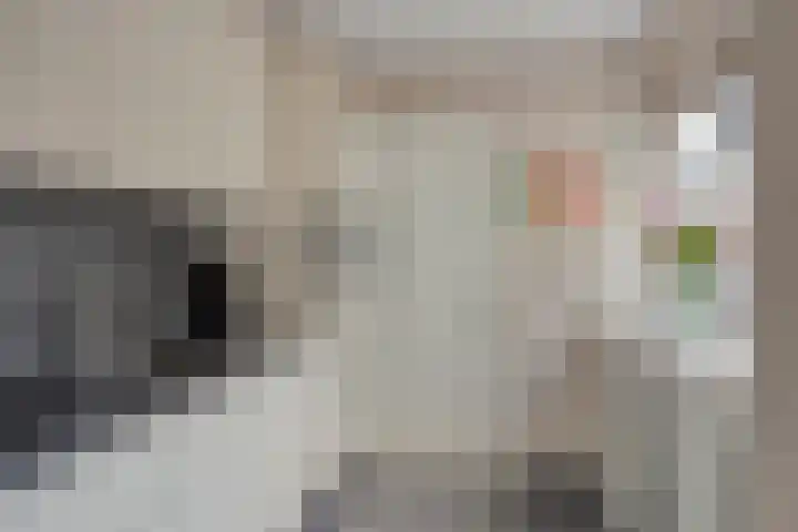 Orchideeënstraat 13 Eindhoven thumbnail 11