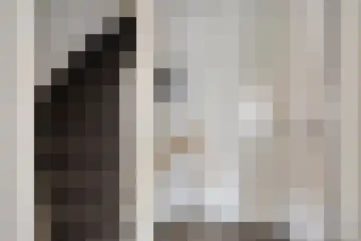 Orchideeënstraat 13 Eindhoven thumbnail 13