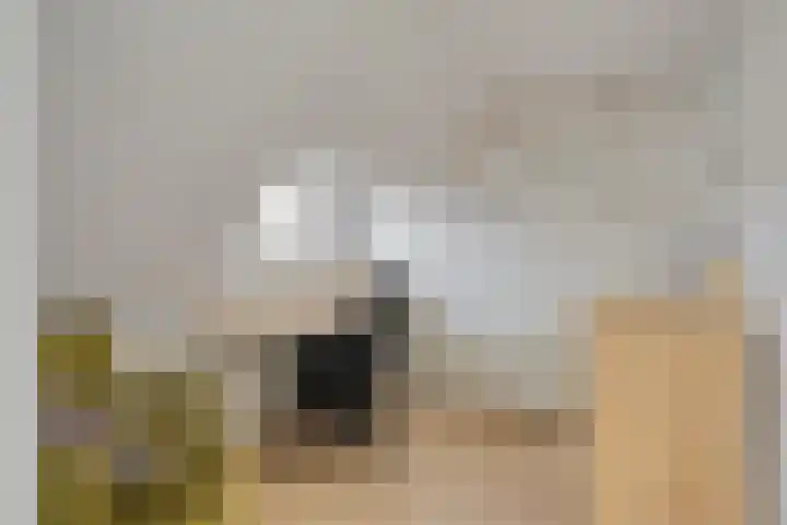 Orchideeënstraat 13 Eindhoven thumbnail 23