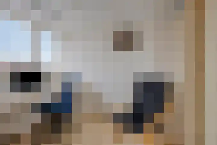 Orchideeënstraat 13 Eindhoven thumbnail 24