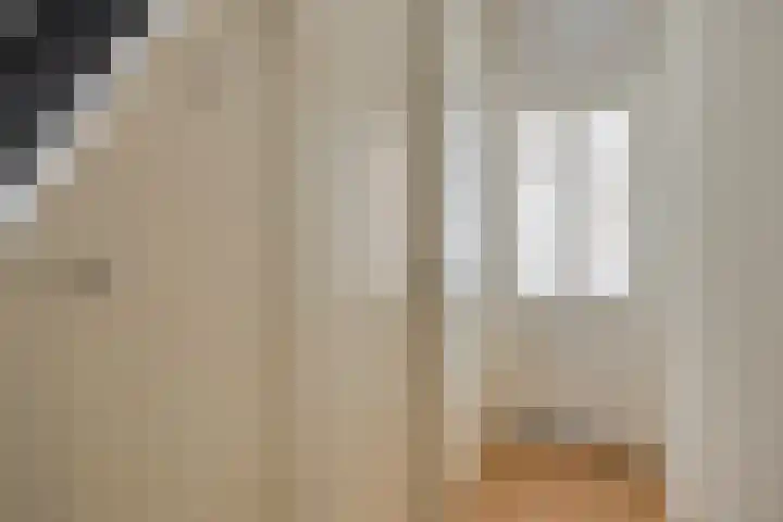 Orchideeënstraat 13 Eindhoven thumbnail 6