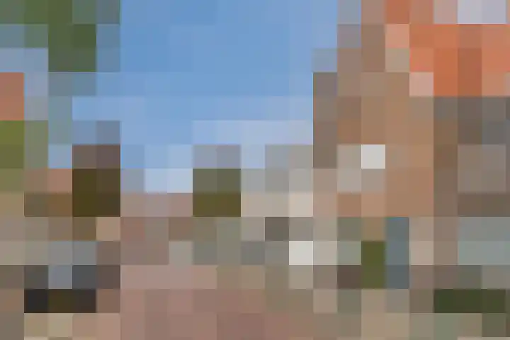 Orchideeënstraat 14 Eindhoven thumbnail 43