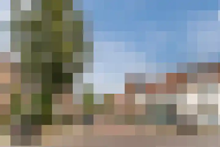 Orchideeënstraat 14 Eindhoven thumbnail 44