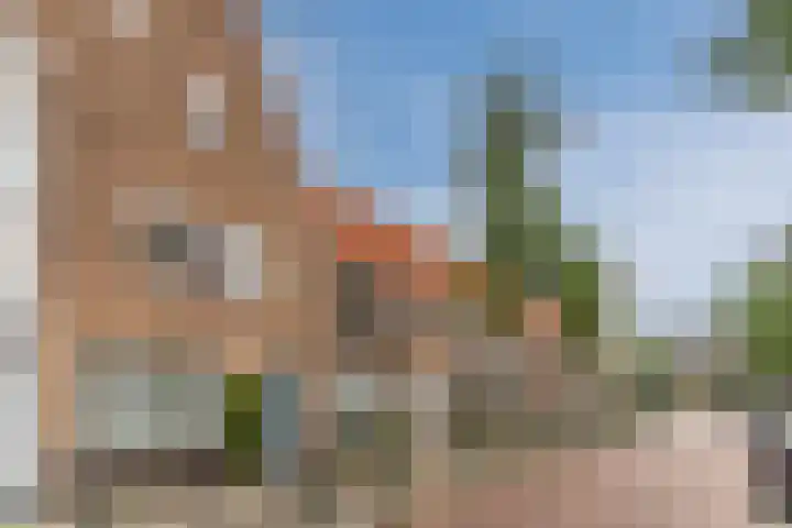 Orchideeënstraat 14 Eindhoven thumbnail 6