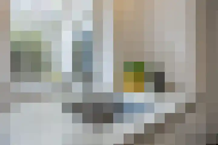Orchideeënstraat 19 Eindhoven thumbnail 18