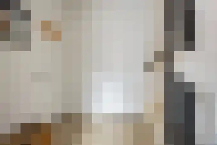 Orchideeënstraat 19 Eindhoven thumbnail 22