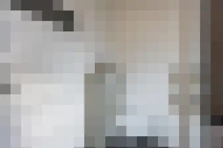 Orchideeënstraat 19 Eindhoven thumbnail 35