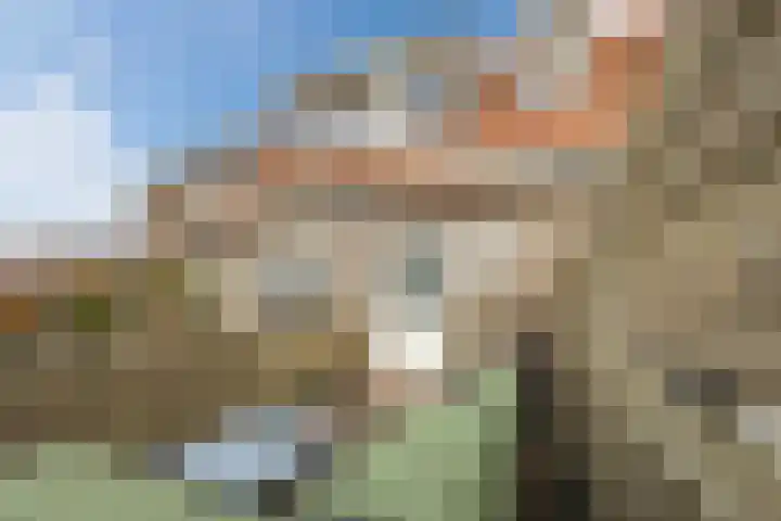 Orchideeënstraat 19 Eindhoven thumbnail 39