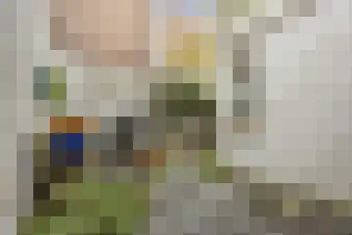 Orchideeënstraat 19 Eindhoven thumbnail 41