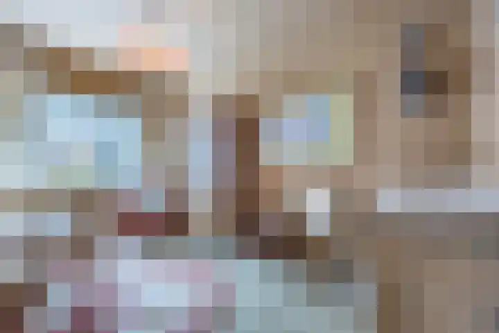 Orchideeënstraat 19 Eindhoven thumbnail 5