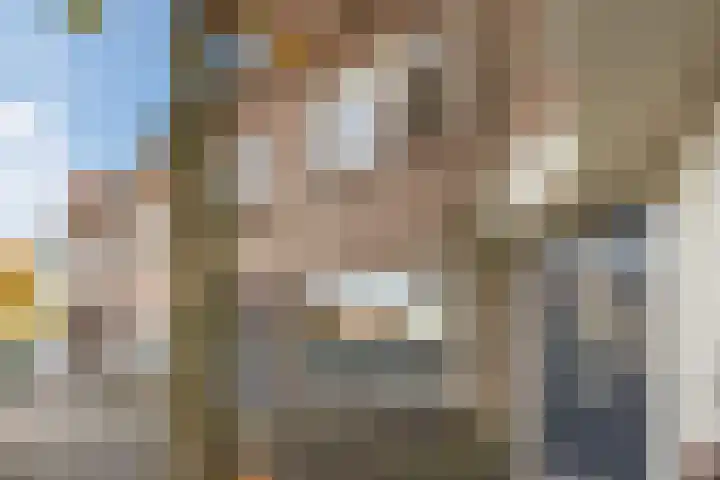 Orchideeënstraat 19 Eindhoven thumbnail 7