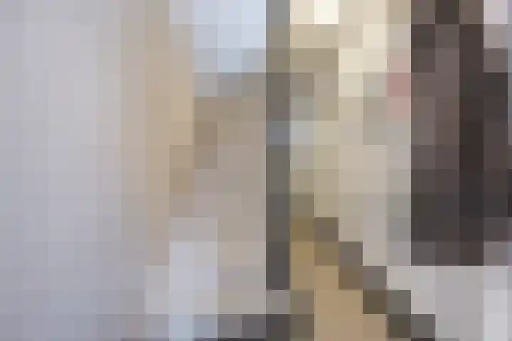 Orchideeënstraat 19 Eindhoven thumbnail 8