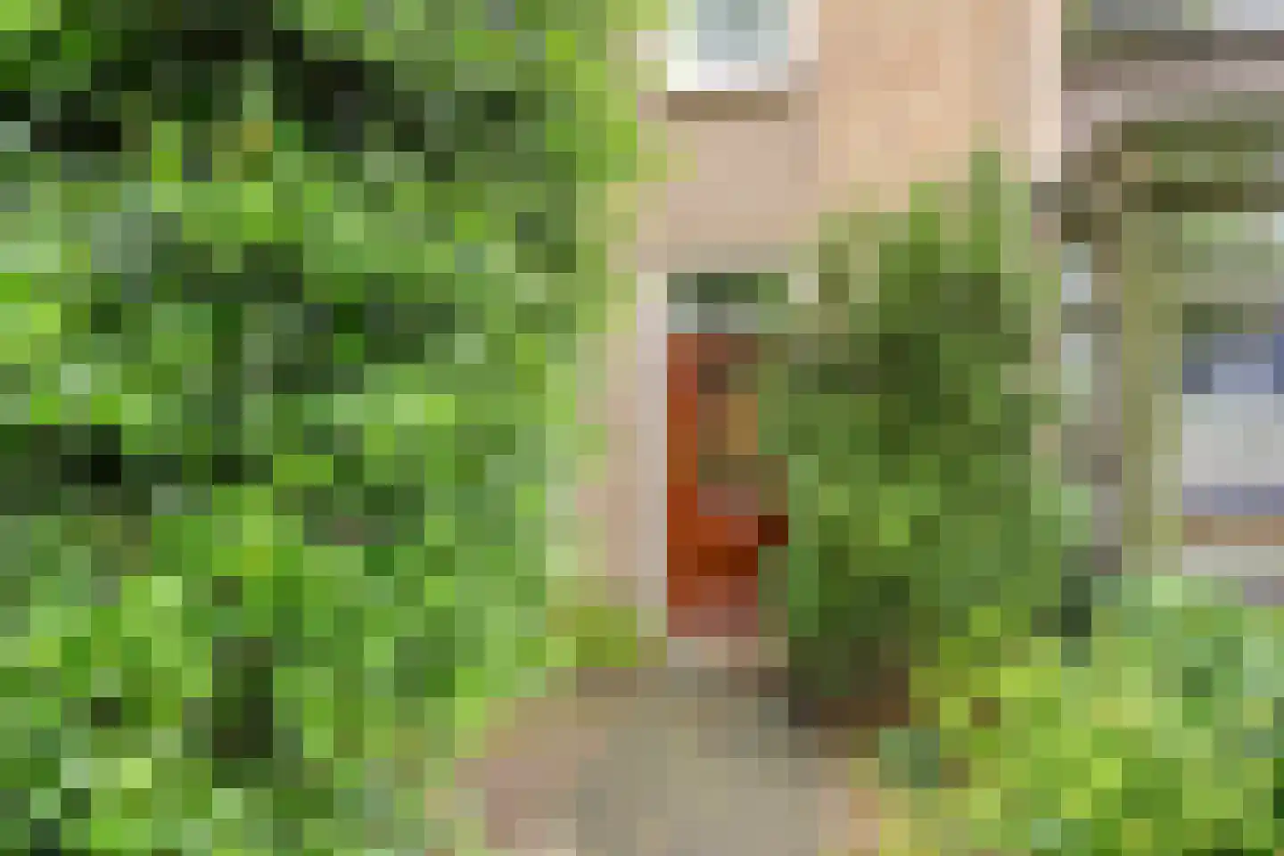 Orchideeënstraat 23 Rosmalen thumbnail 24