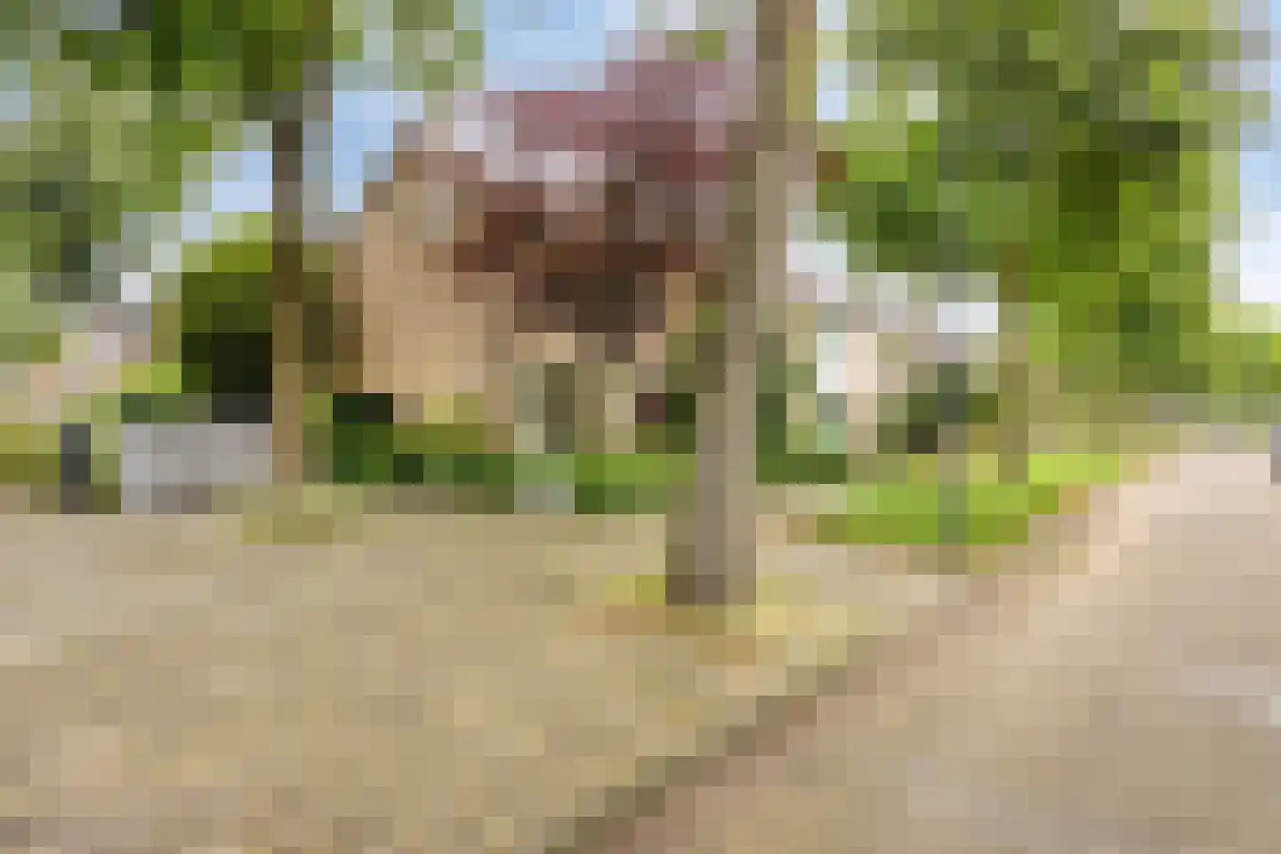 Orchideeënstraat 23 Rosmalen thumbnail 27