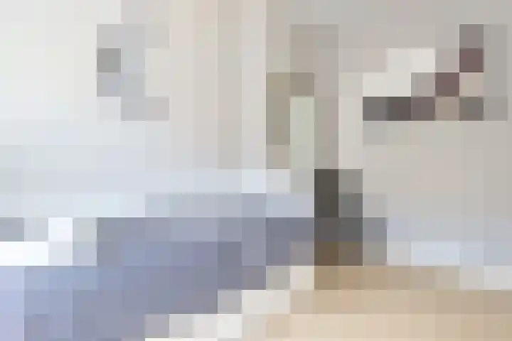 Orchideeënstraat 28 Eindhoven thumbnail 31