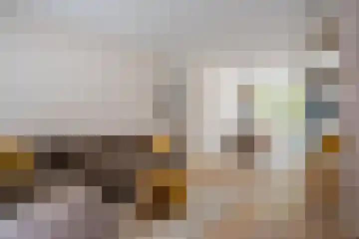Orchideeënstraat 33 Eindhoven thumbnail 11