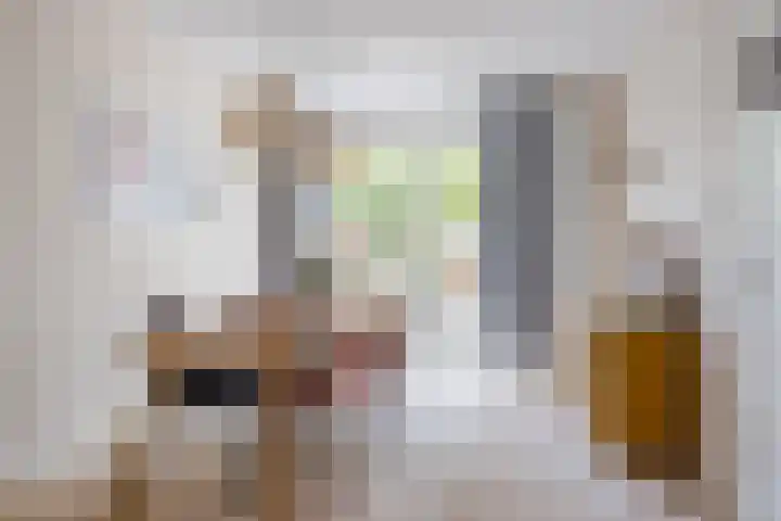 Orchideeënstraat 33 Eindhoven thumbnail 12