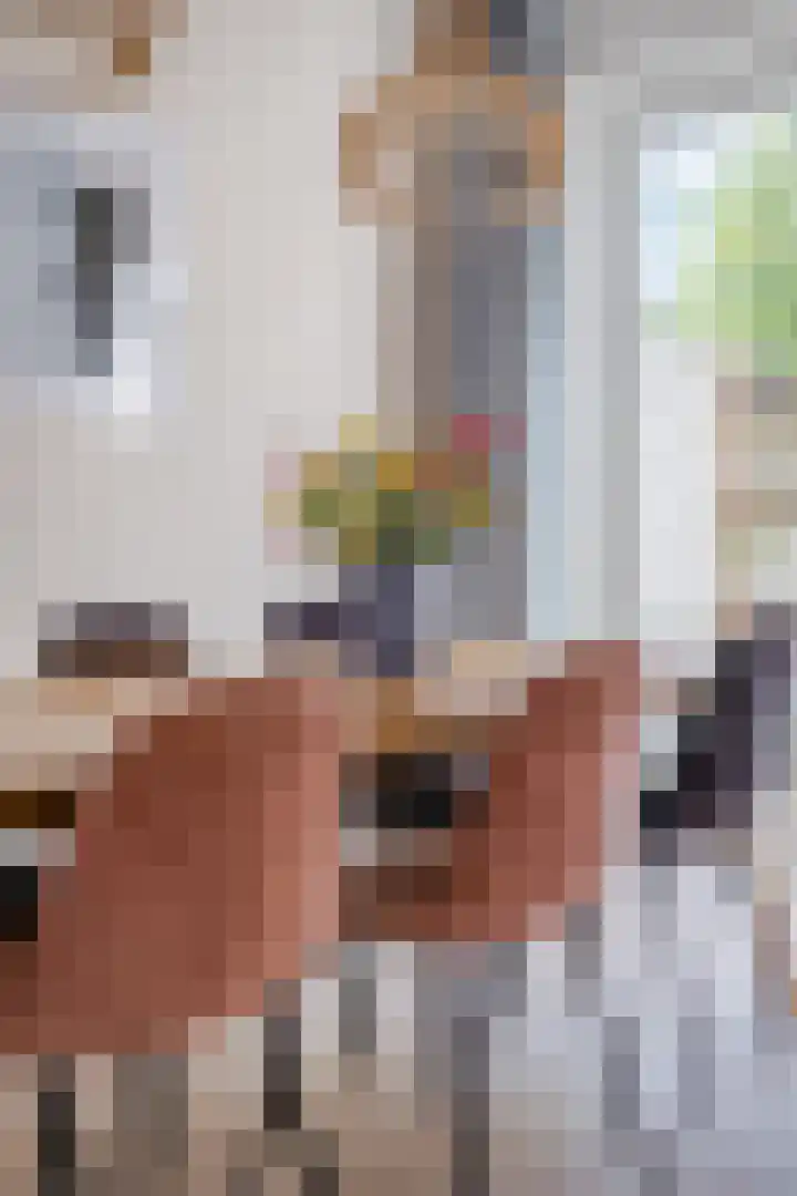 Orchideeënstraat 33 Eindhoven thumbnail 13