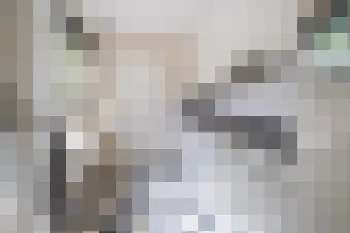 Orchideeënstraat 33 Eindhoven thumbnail 15