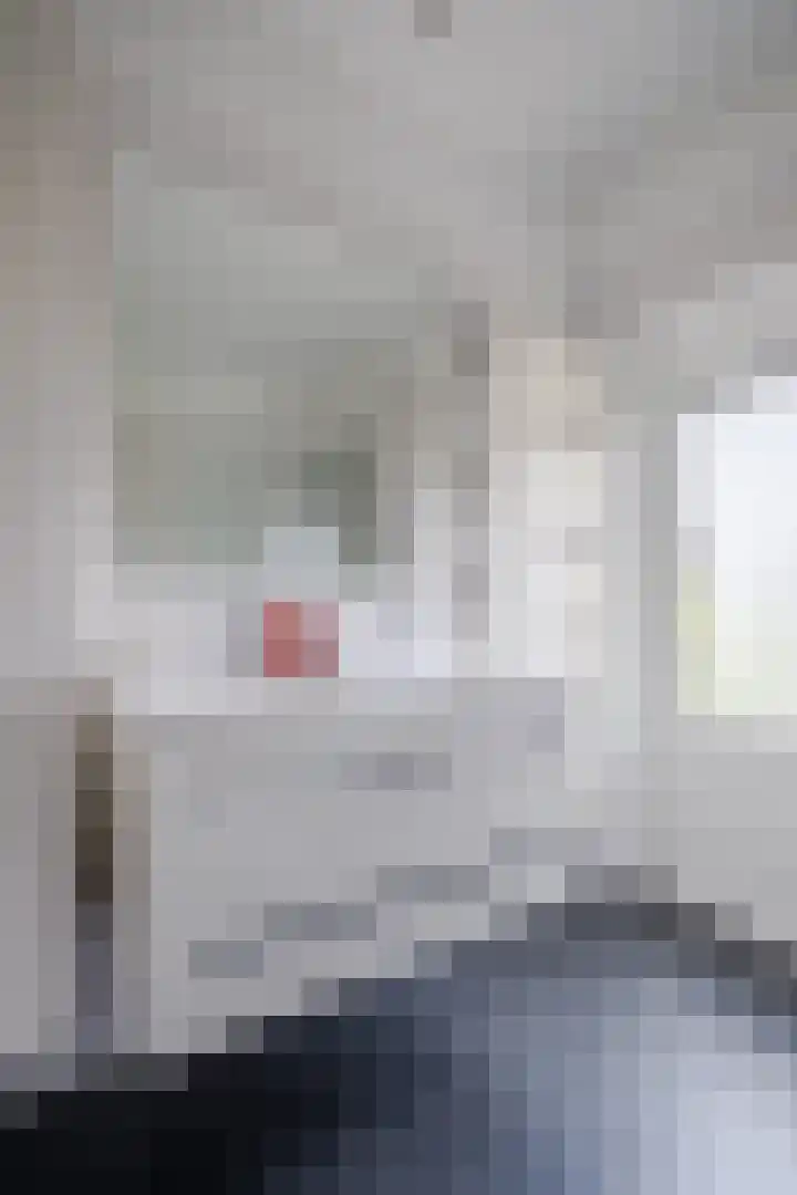 Orchideeënstraat 33 Eindhoven thumbnail 24