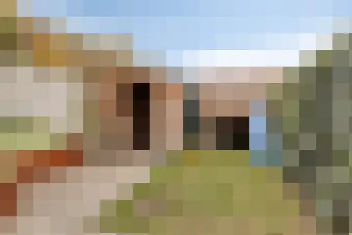 Orchideeënstraat 39 Eindhoven thumbnail 36
