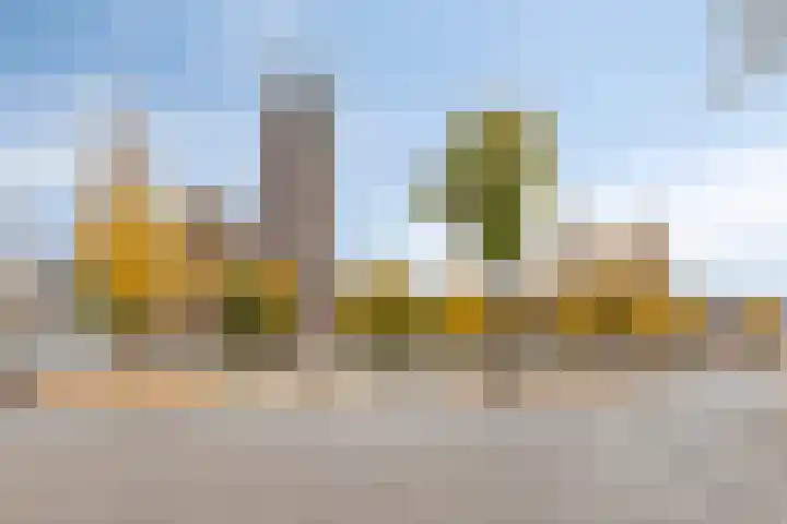 Orchideeënstraat 39 Eindhoven thumbnail 42