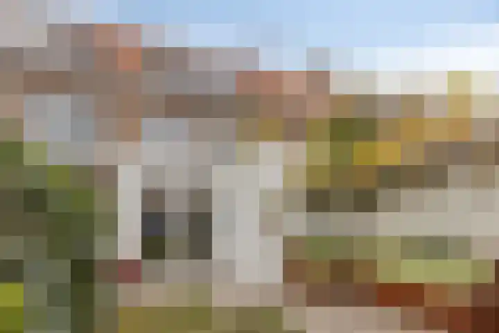 Orchideeënstraat 39 Eindhoven thumbnail 6