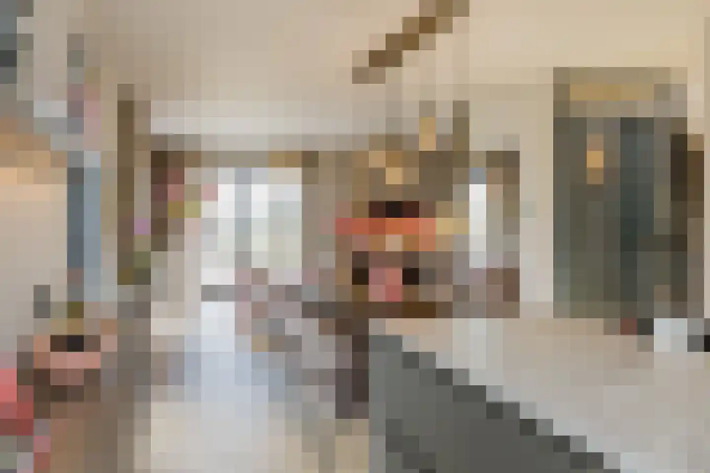 Orchideeëntuin 8 Ter Aar thumbnail 11