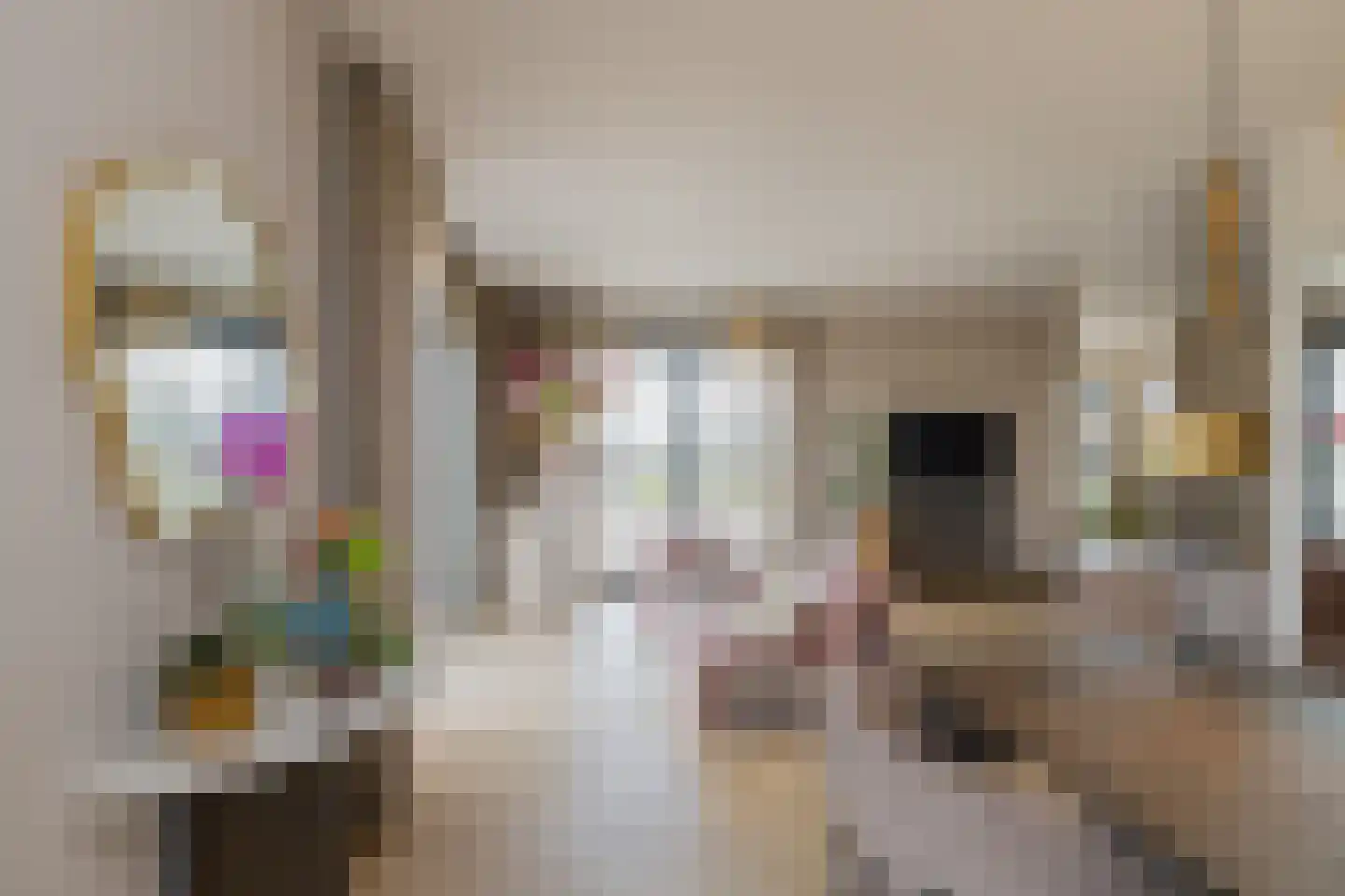 Orchideeëntuin 8 Ter Aar thumbnail 16
