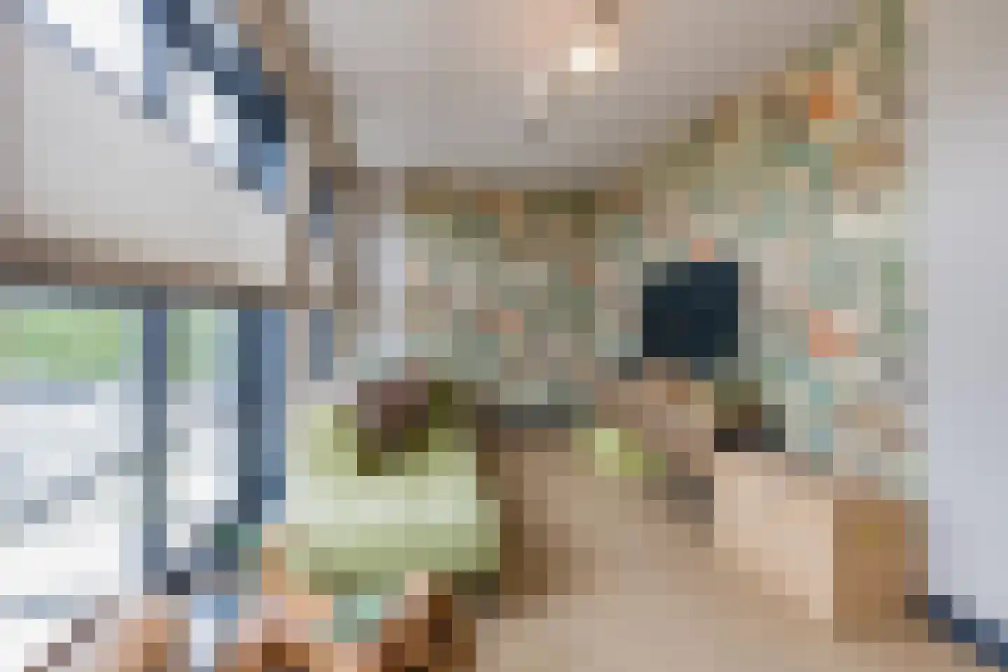 Orchideeëntuin 8 Ter Aar thumbnail 25