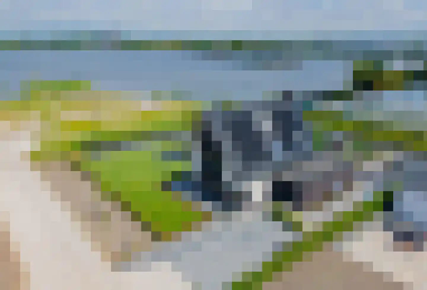 Orchideeëntuin 8 Ter Aar thumbnail 5