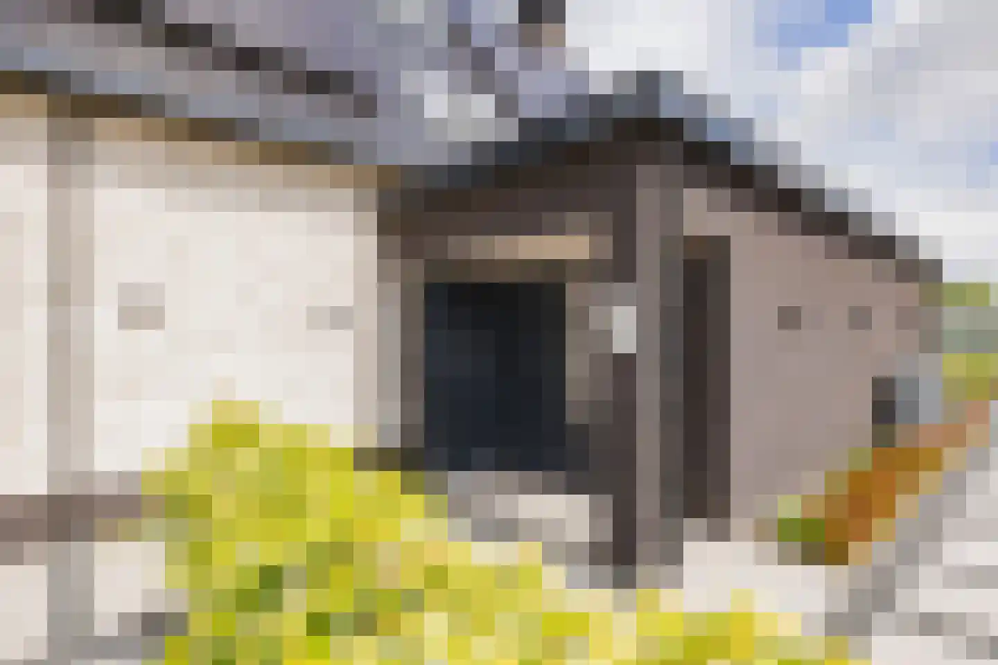 Orchideeëntuin 8 Ter Aar thumbnail 6