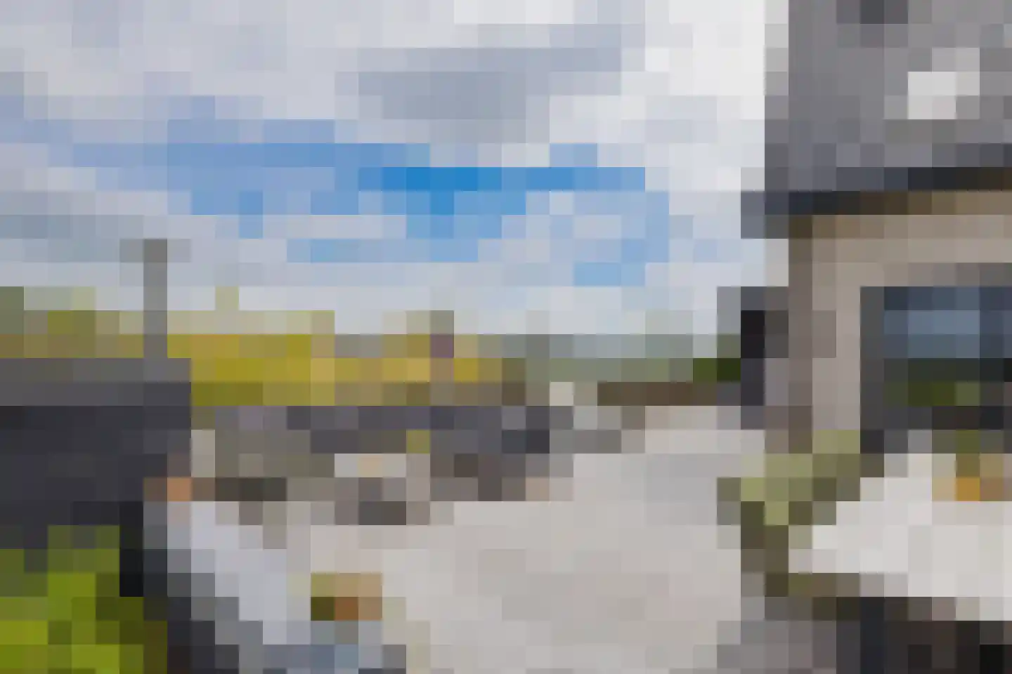 Orchideeëntuin 8 Ter Aar thumbnail 61