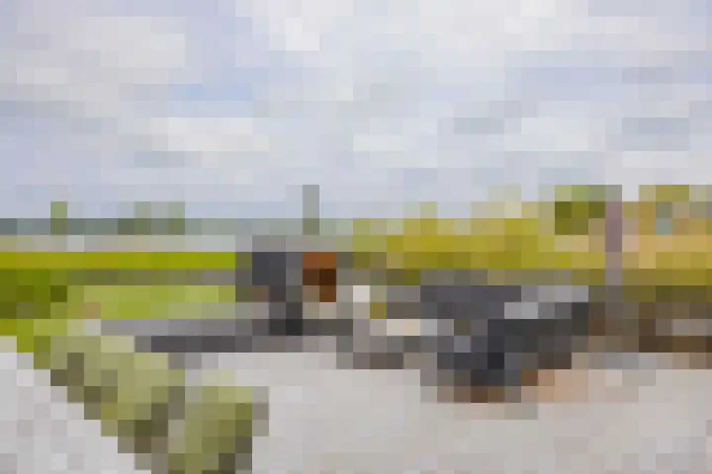 Orchideeëntuin 8 Ter Aar thumbnail 62