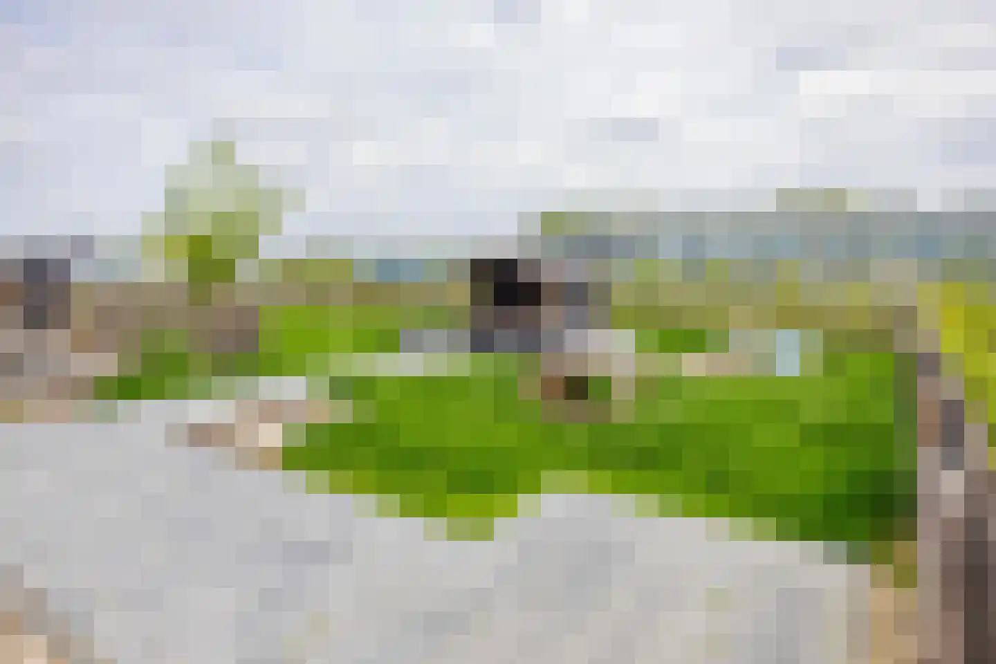 Orchideeëntuin 8 Ter Aar thumbnail 71