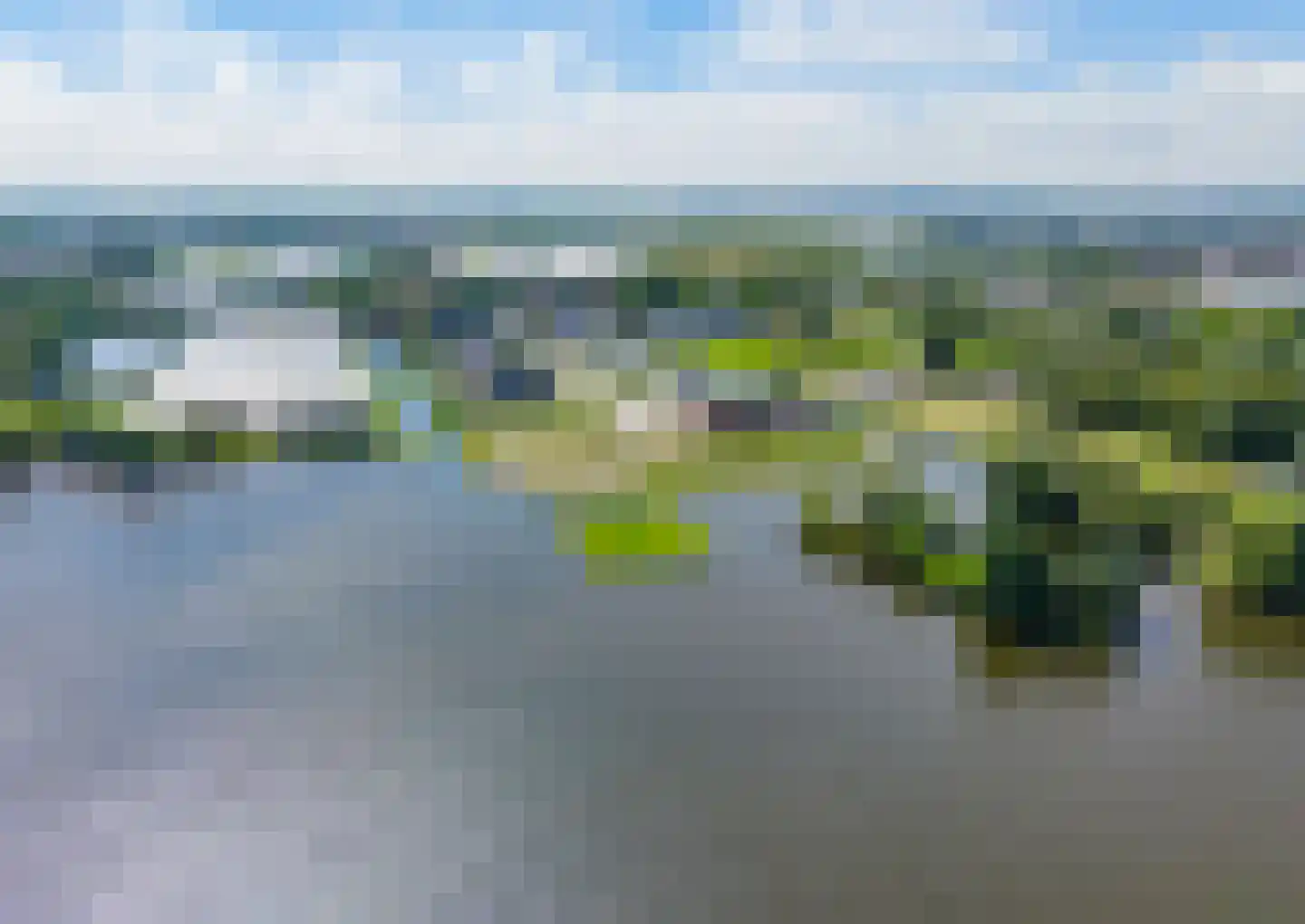 Orchideeëntuin 8 Ter Aar thumbnail 75