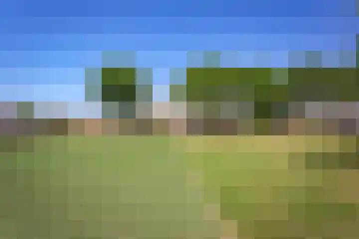 Orchideelaan 124 Badhoevedorp thumbnail 36