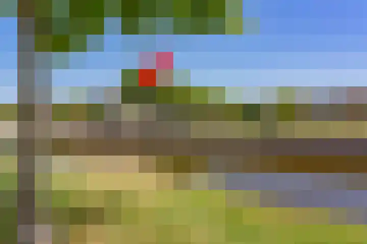 Orchideelaan 124 Badhoevedorp thumbnail 39