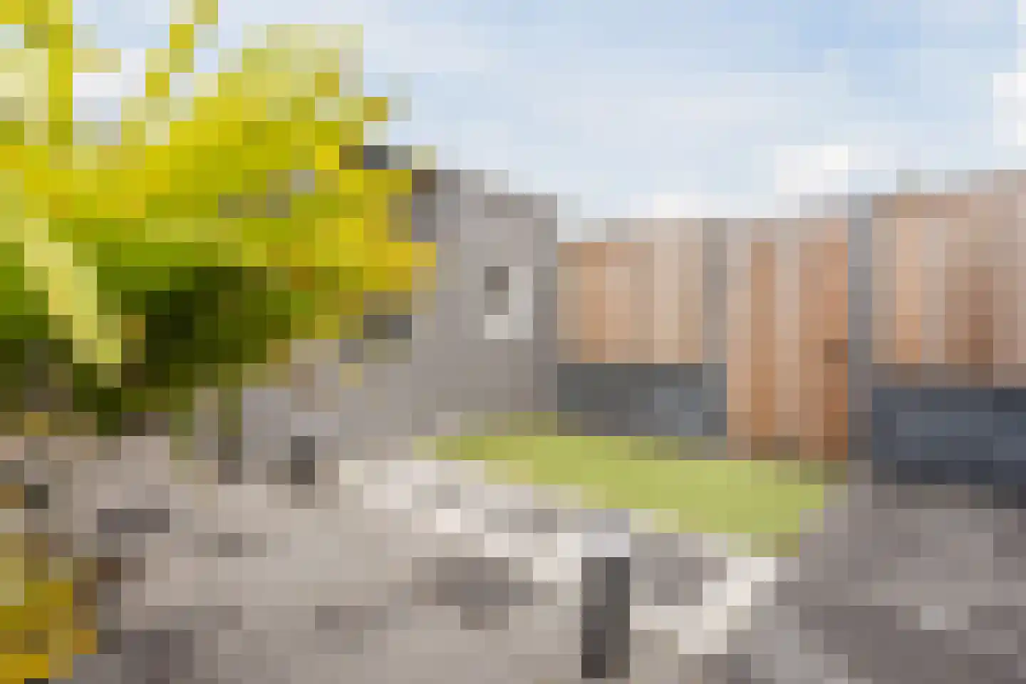 Orchideelaan 133 Badhoevedorp thumbnail 40